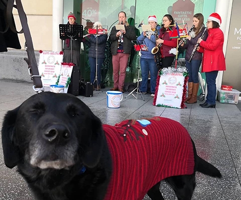 band-busking-dog Band members busking at Castlepoint with dog listening