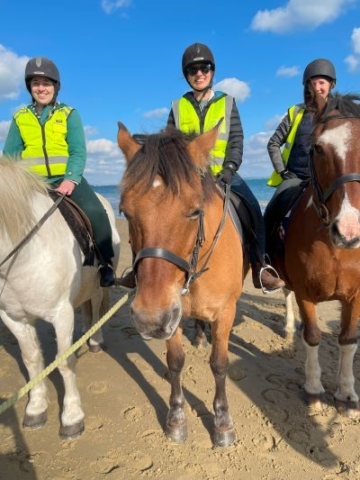 Flute players on horses on the beach
